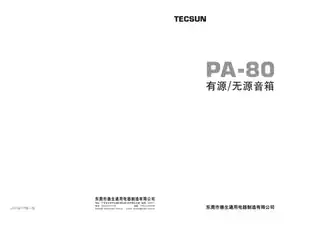 TECSUN德生PA-80