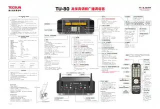 TECSUN德生TU-80