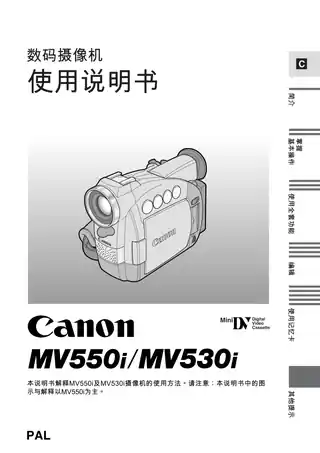 CANON佳能MV550i