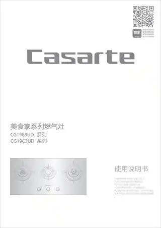 卡萨帝JZT-CG19B3UD(12T)