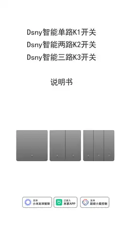 Dsny智能单路K1开关