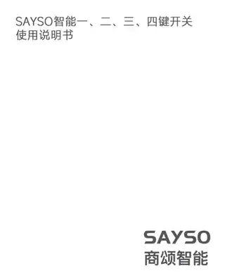 SAYSO智能开关（二键）