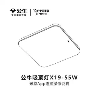 公牛吸顶灯X19-55W