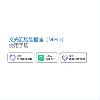 文光汇智能插座（Mesh）