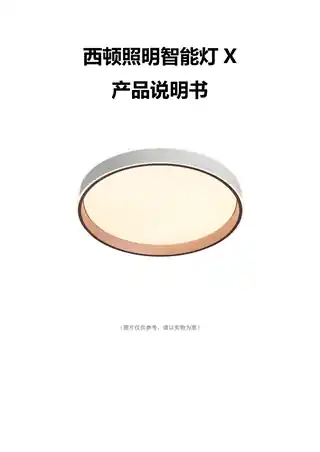 西顿照明智能灯X