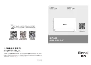 rinnai林内DSG60-E09P
