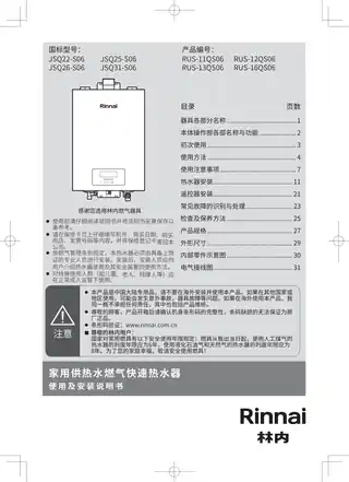 rinnai林内JSQ31-D06