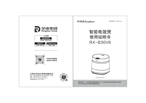 Royalstar荣事达RX-B30V6